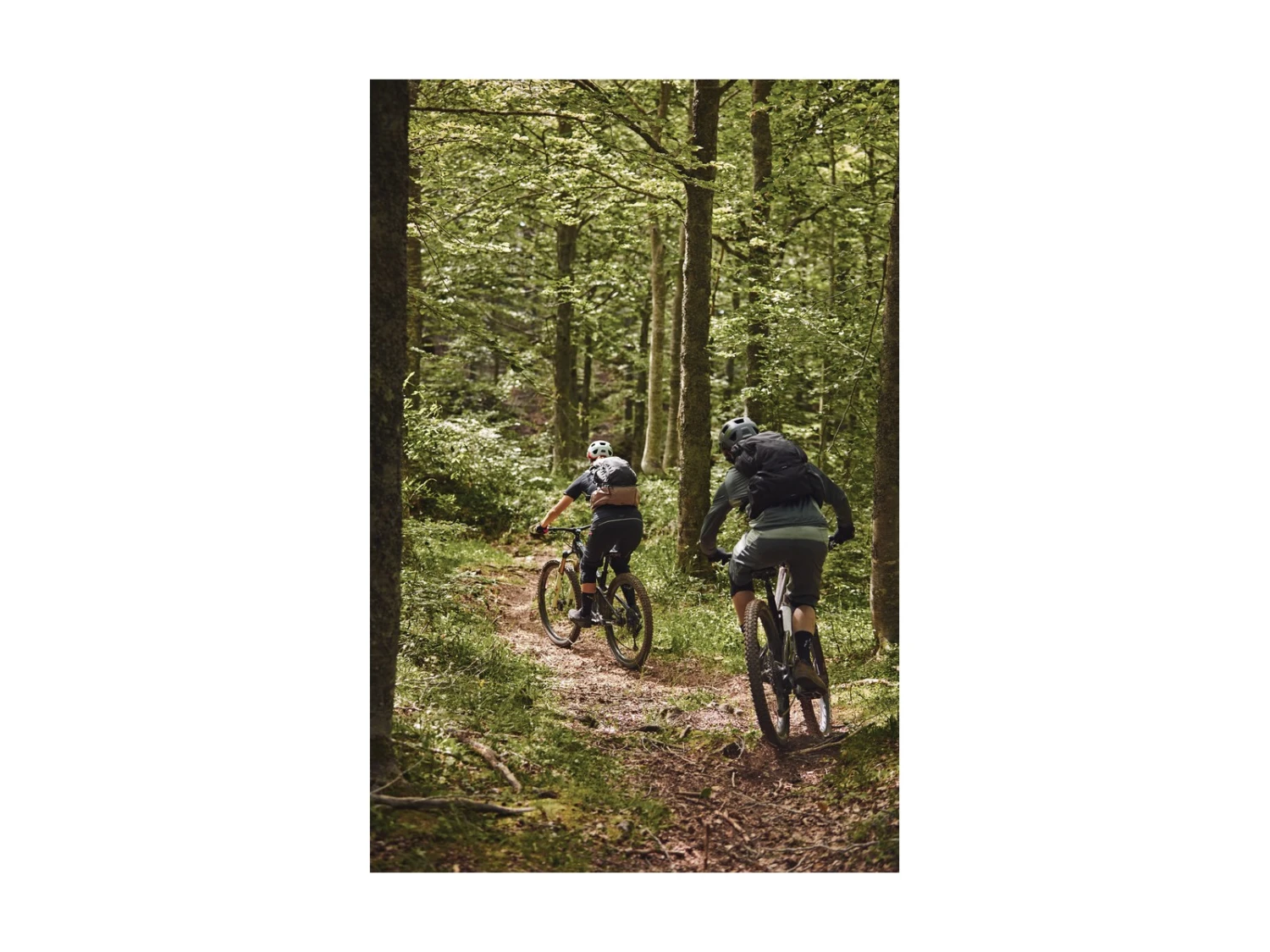 ABUS Casque MoDrop VTT Concrete Grey 18 ABUS Casque MoDrop VTT Concrete Grey – Image 16