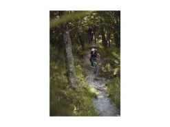 ABUS Casque MoDrop VTT Velvet Black -Équipement Vélo abus casque modrop vtt velvet black 14