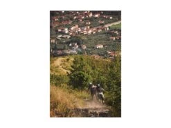 ABUS Casque VTT MoDrop Polar White -Équipement Vélo abus casque vtt modrop polar white 12