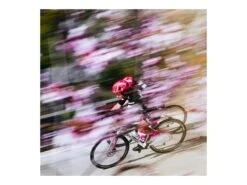 CANNONDALE SuperSix Evo Hi-Mod Ultegra Team Replica Education First 2023 -Équipement Vélo cannondale supersix evo hi mod ultegra team replica education first 2023 9