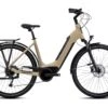 WINORA Tria 9 Iced Coffee Bosch Active Plus 500WH Vélo électrique 2022 -Équipement Vélo winora tria 9 iced coffee bosch active plus 500wh velo electrique 2022